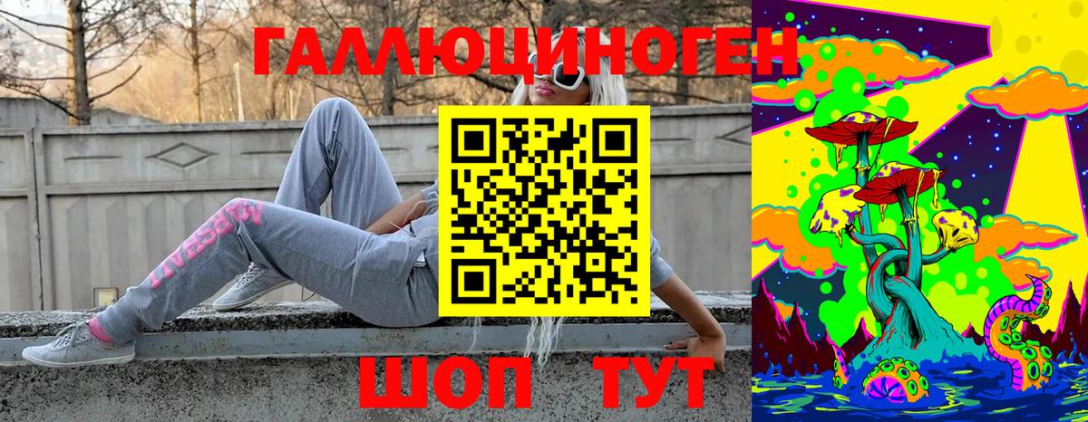 закладка  Вход с VPN  Юрга  Галлюциногенные грибы ЛСД  Галлюциногенные грибы Cubensis 